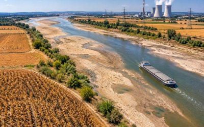 Canicula și seceta zguduie Europa: 180 mld euro pierderi estimate