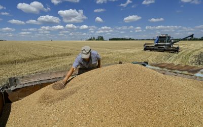 Rusia inundă România cu cereale ucrainene. Pericol pentru recolta românească