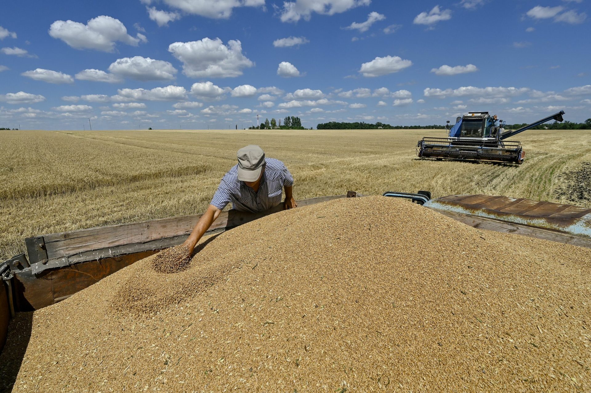 Rusia inundă România cu cereale ucrainene. Pericol pentru recolta românească