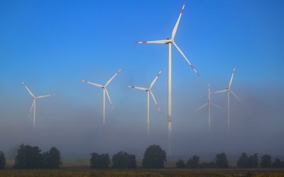 România, în avangarda energiei: Export seara, 37% eolian dimineața