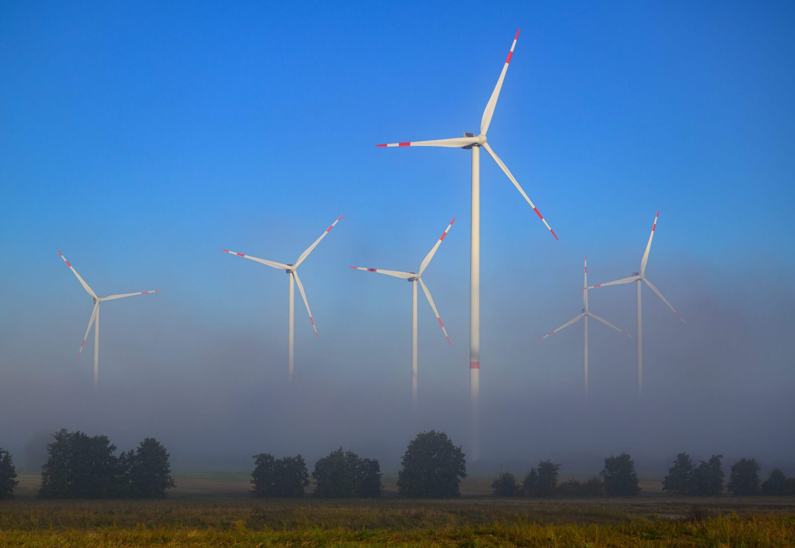 România, în avangarda energiei: Export seara, 37% eolian dimineața