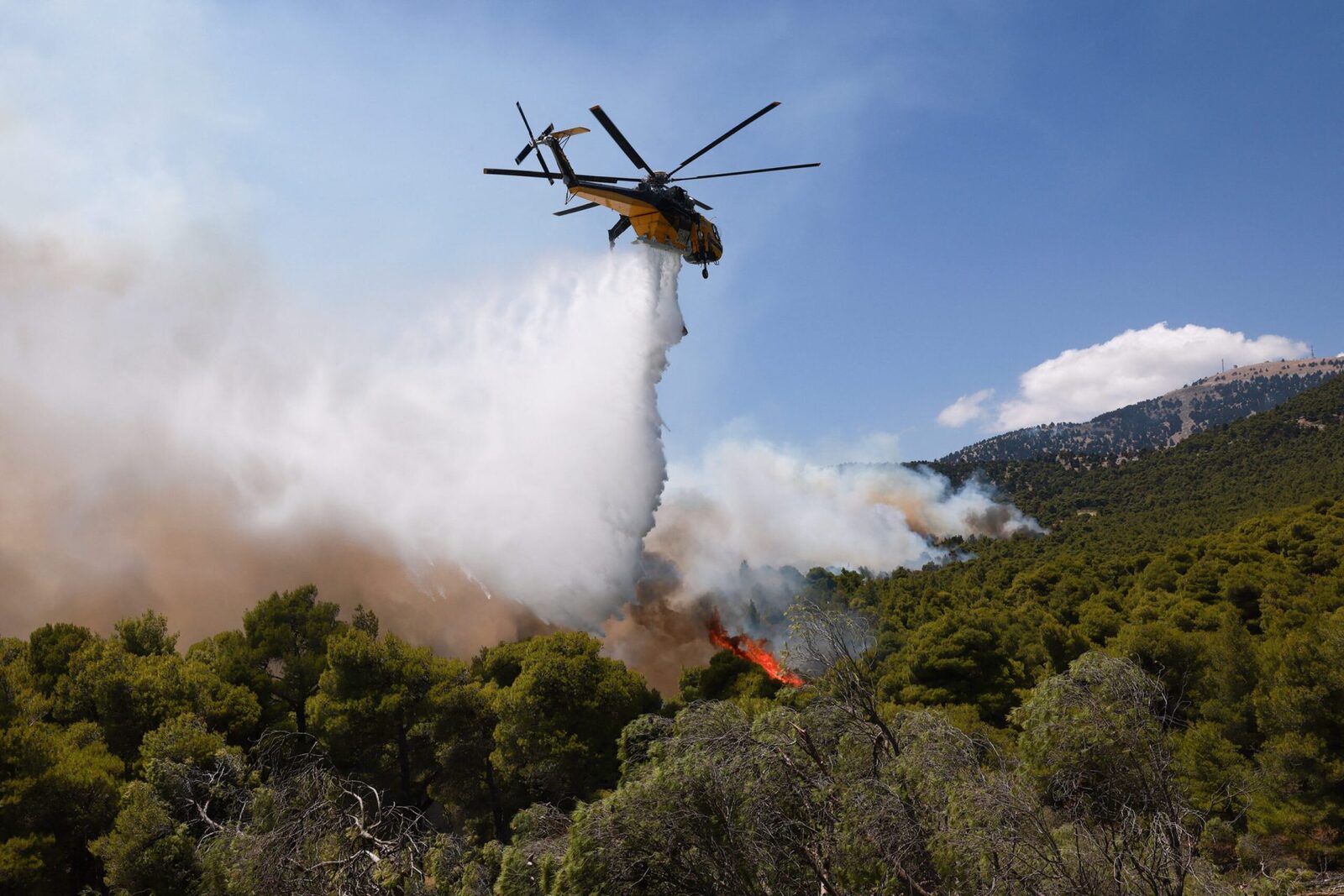 Elicopter antigandire prăbușit, două victime la bord