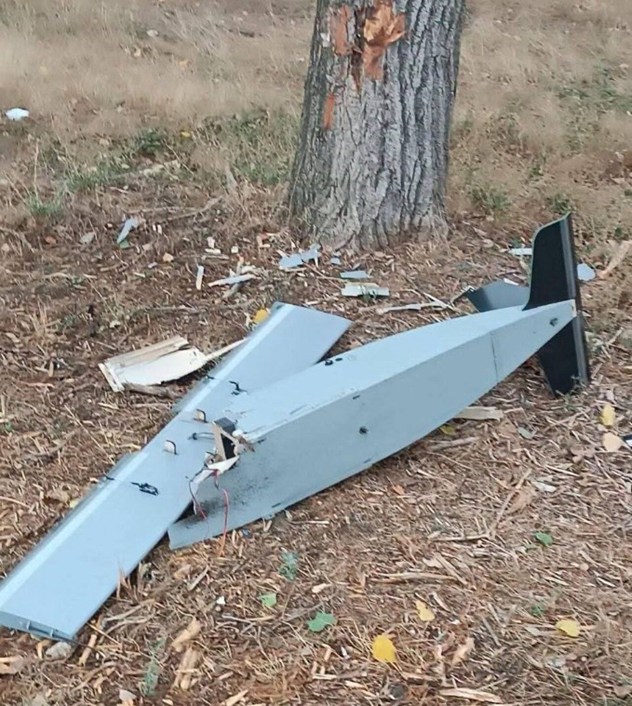 Drone în spațiul moldovenesc: Incidentul de Ziua Independenței