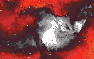 Araba la peste 50 de grade: Val de căldură extremă face ravagii