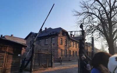 Lider polonez, acuzat că a negat Holocaustul la Auschwitz