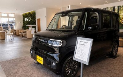 Racco, succes fulger: 5.000 de comenzi într-o săptămână