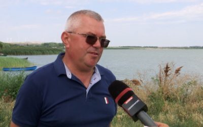 Specia invadatoare din Dunăre, acum în farfuria ta: 20 lei/100g