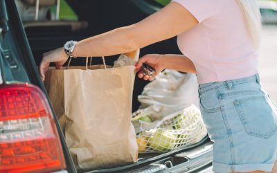 Pericol pe caniculă: Cât stau alimentele în mașină