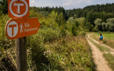Drumeț Oprit pe Via Transilvanica: Critici care Au Stârnit Dezbateri