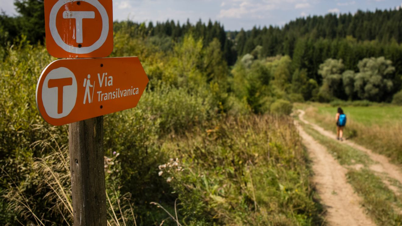 Drumeț Oprit pe Via Transilvanica: Critici care Au Stârnit Dezbateri