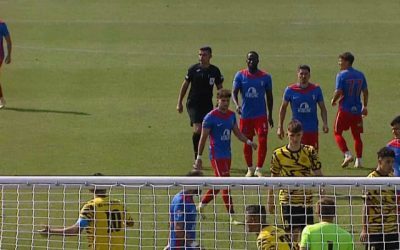Chindia bate Metaloglobus 1-0, Honciu marchează, Erico eliminat