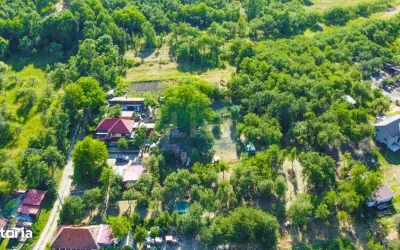 Comună în România oferă gratuit terenuri. Familii cu prioritate!
