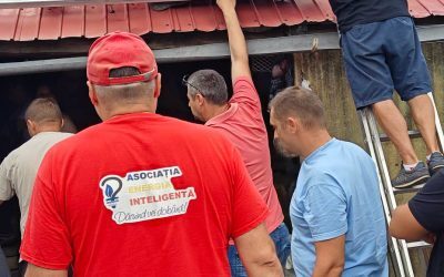 Case izolate, electrificate prin „Energie pentru Viață”