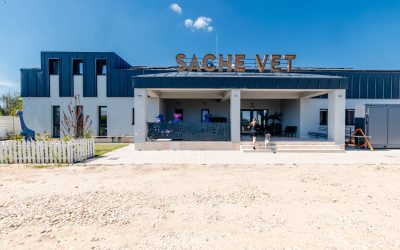 Spital veterinar social lângă București, pentru 5.000 de animale