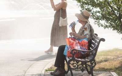 Caniculă extremă: 39 de grade în vest, încă 3 zile toride
