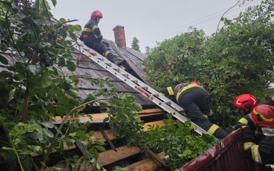 Vânt năprasnic în Suceava: Acoperișuri smulse, copaci doborâți
