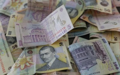 Granturi IMM 25 mil. EUR Digitalizare București-Ilfov: Ce așteptați