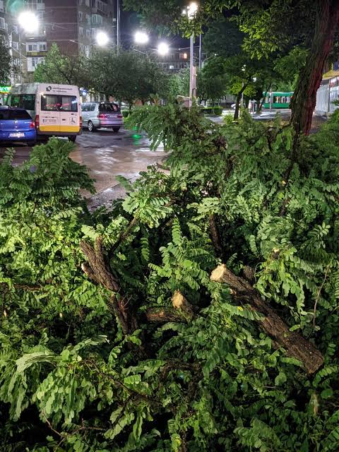 Copaci prăbușiți în Arad: Furtuna a distrus mașini