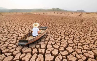 Tropicele se schimbă radical: 3,3 milioane de ani în câteva decenii