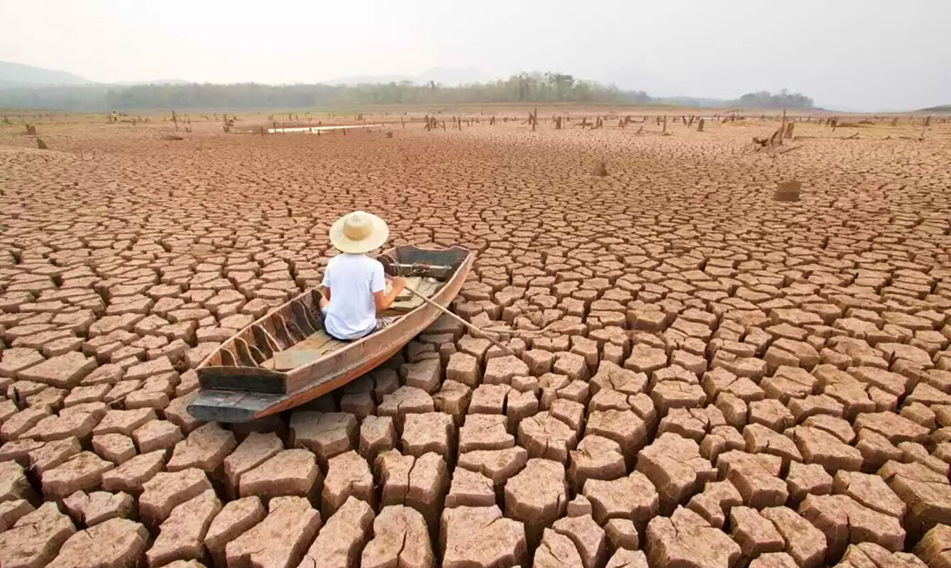 Tropicele se schimbă radical: 3,3 milioane de ani în câteva decenii