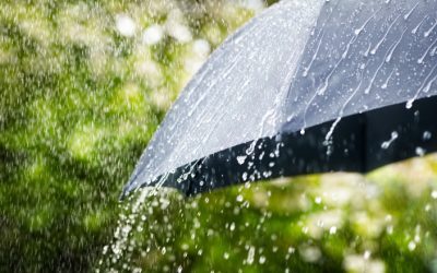 București și Ilfov, sub coduri meteo: Caniculă și furtuni