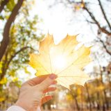 Vremea până la jumătatea lui septembrie: Ce spun meteorologii