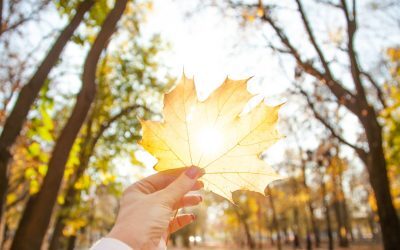 Vremea până la jumătatea lui septembrie: Ce spun meteorologii