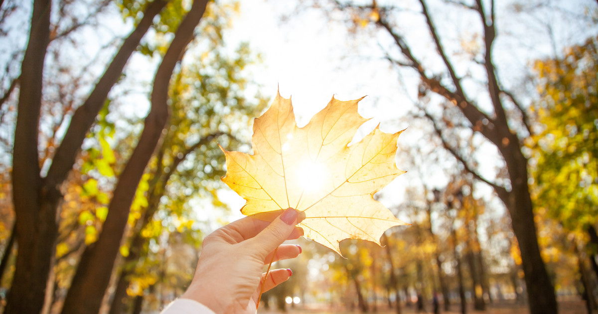 Vremea până la jumătatea lui septembrie: Ce spun meteorologii
