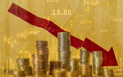 Consilier prezidențial: Economia spre recesiune. E posibil să încheiem anul prost