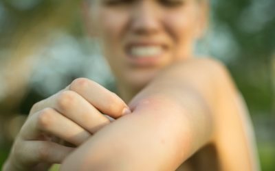 Țânțari cu malaria, doi morți pe aeroport din Germania