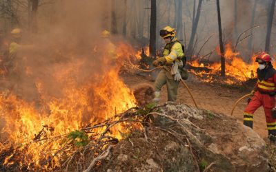 Europa, lovită de climă: Verile extreme subminează economia