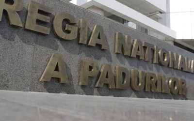 Romsilva, sute de achiziții fără licitație: Adevărul ascuns în 82% din cazuri