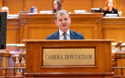ANI: Cum se dovedește „căsătoria” unui demnitar. Explicații de la AUR