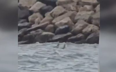 Dronă suspectă în mare la Costinești, evacuare zonă