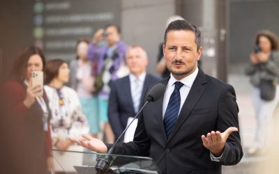 Ștefănuță, Copreședinte la Verzi/ALE, pe scena UE