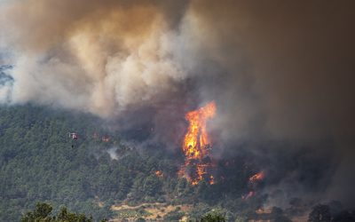 MAI: Incendii mistuitoare în Valencia, risc maxim. Atenție mare