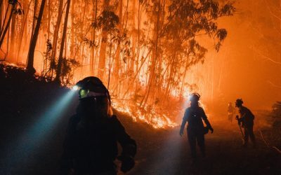 Europa arde: 4 cauze explică supraîncălzirea sa alarmantă