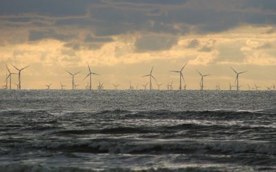 Marea Neagră: Guvernul a aprobat zonele pentru parcuri eoliene