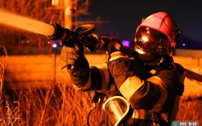 Meserii anti-AI: Cele mai grele de înlocuit, niciun job de birou