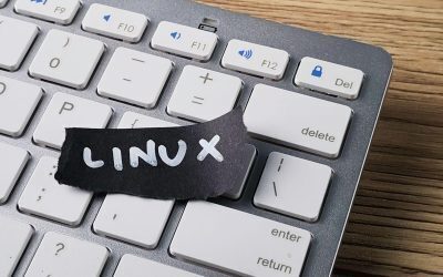 Linux, 35 de ani: De la student la motorul lumii digitale