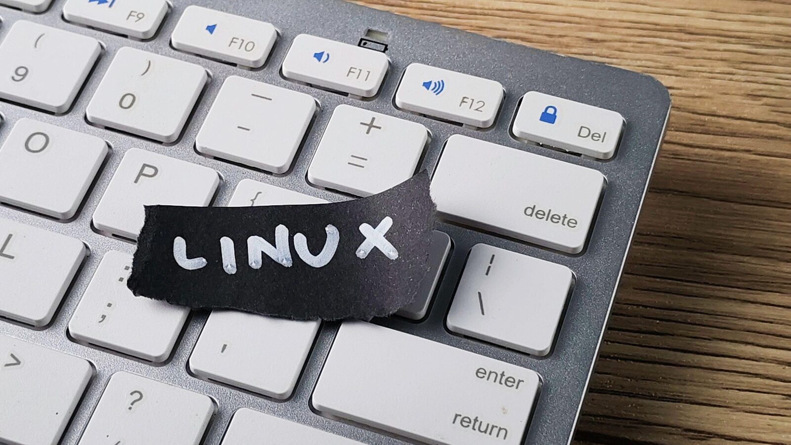 Linux, 35 de ani: De la student la motorul lumii digitale