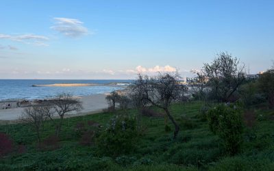 Vreme bună în Dobrogea: Caniculă evitată pe litoral