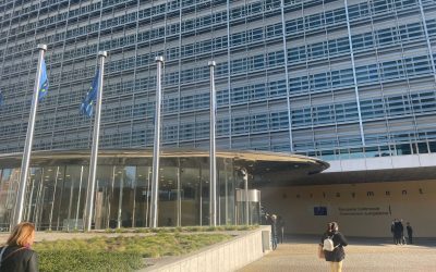 S&D: Românii nu plătesc standarde duble pentru 770 mil. Euro
