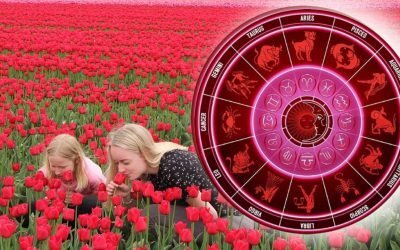 Horoscop 9 August: Când să te oprești și să întrebi