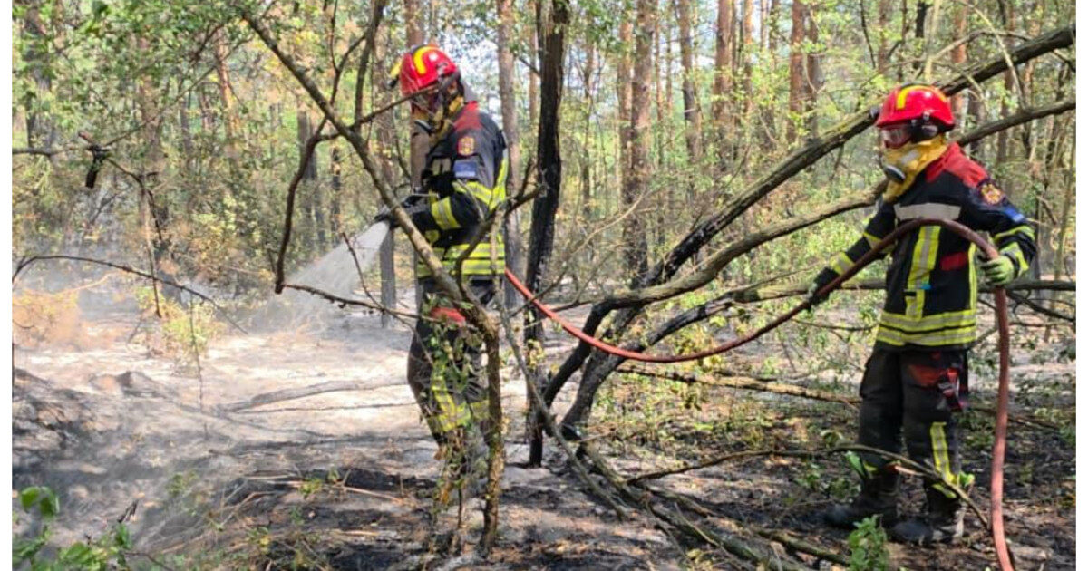Pompierii României luptă cu focul în Serbia: 34 ha, intervenție dificilă