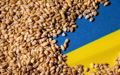 Constanța, poartă pentru grâul ucrainean. Kievul vrea coridor prin Moldova