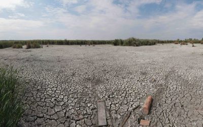 Ploi de vară inutile! Climatolog explică de ce seceta persistă