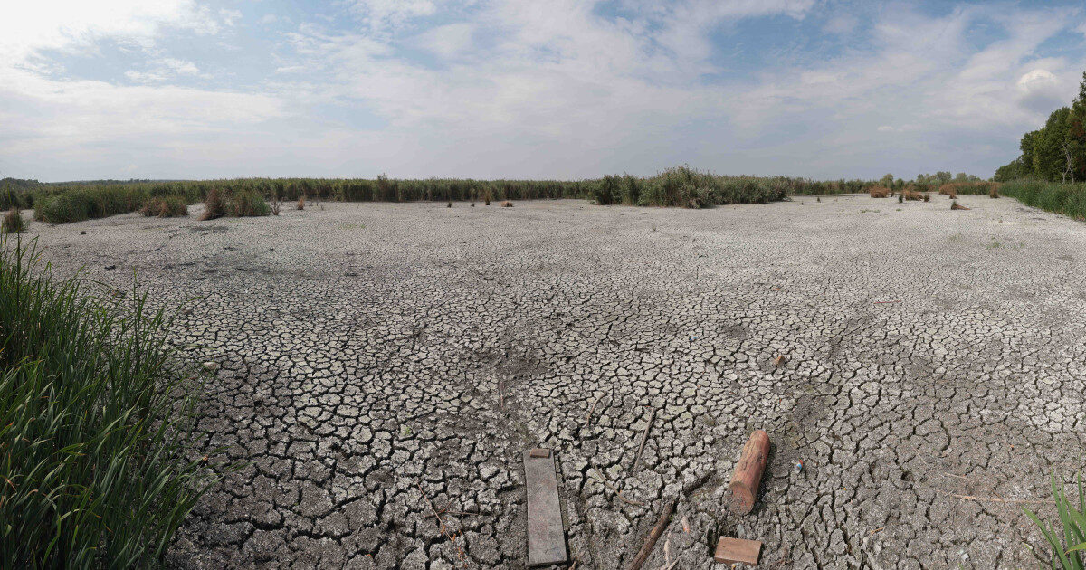 Ploi de vară inutile! Climatolog explică de ce seceta persistă