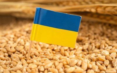 Fermierii români cer control total pe graniță
