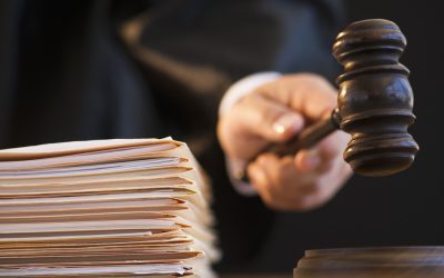 Judecătoarea ROMATSA: Nu puteam aplica o pedeapsă mai blândă